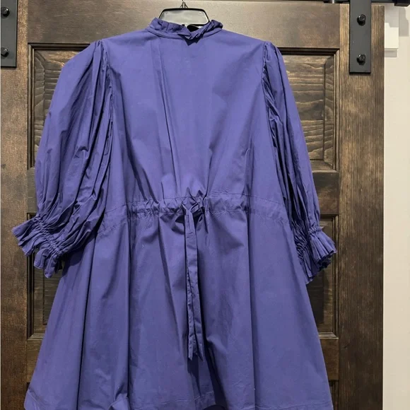 Shop The Mint - Elegant Blue Mini Dress - Picture 3 of 7